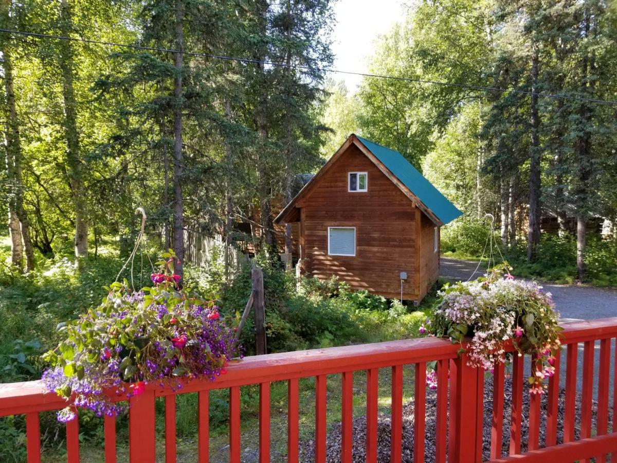Talkeetna Hideaway Ξενοδοχείο Εξωτερικό φωτογραφία