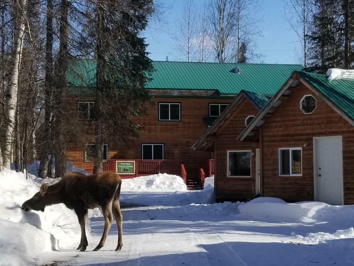 Talkeetna Hideaway Ξενοδοχείο Εξωτερικό φωτογραφία